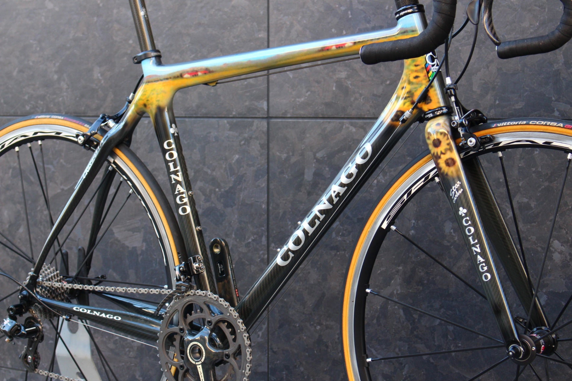 決算SALE コルナゴ COLNAGO クリスタロ CRISTALLO Sunflowerカラー