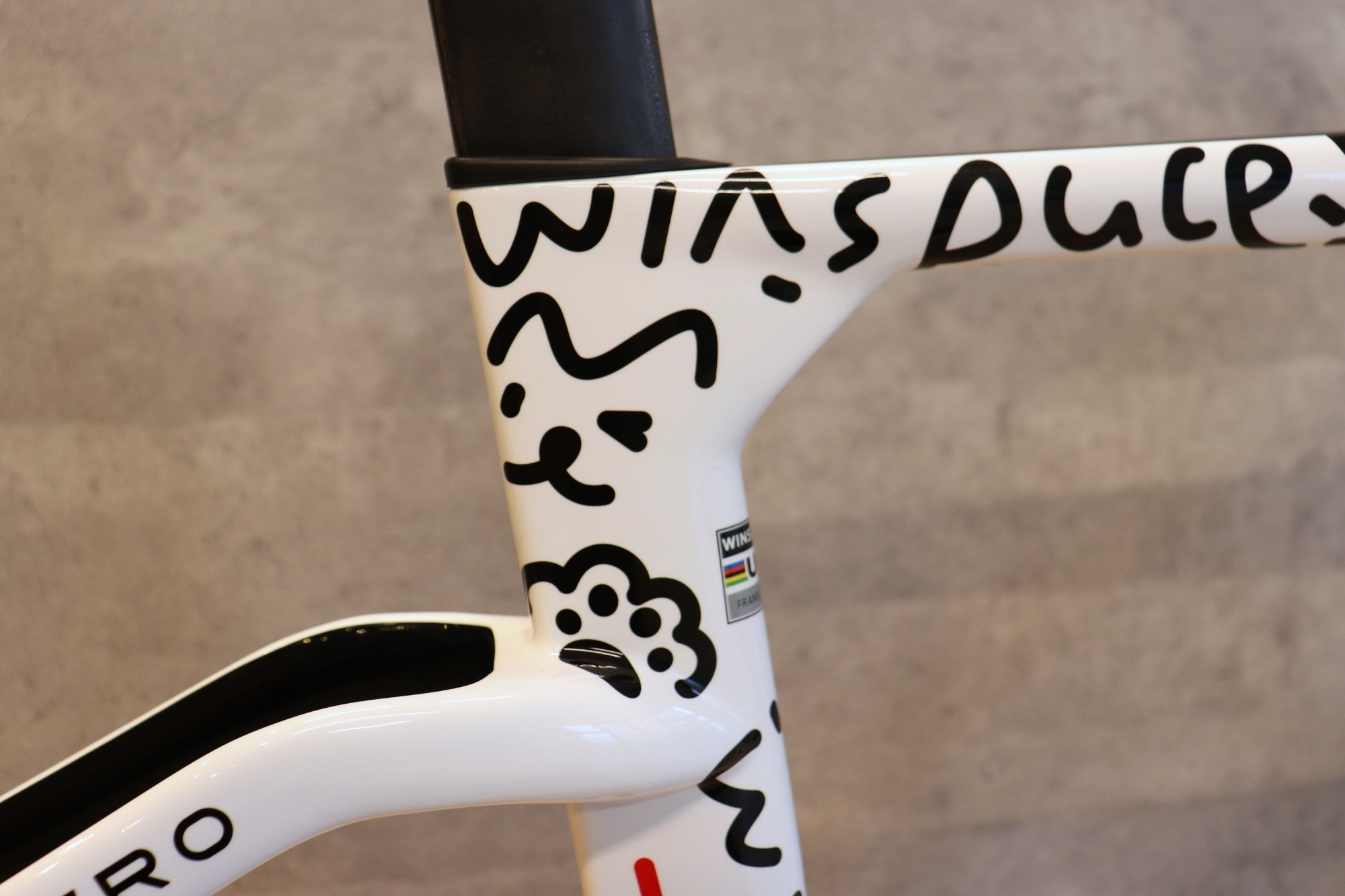 ウィンスペース WINSPACE C5 AERO 2025モデル XSサイズ カーボン