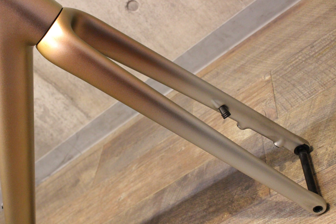 スペシャライズド SPECIALIZED エスワークス エートス S-WORKS AETHOS 2021 56サイズ カーボン ロードバイク フレームセット【名古屋店】