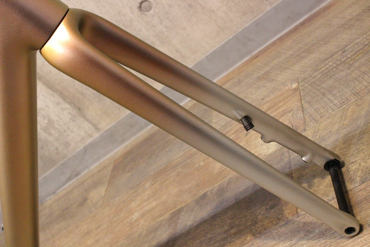 スペシャライズド SPECIALIZED エスワークス エートス S-WORKS AETHOS 2021 56サイズ カーボン ロードバイク フレームセット【名古屋店】