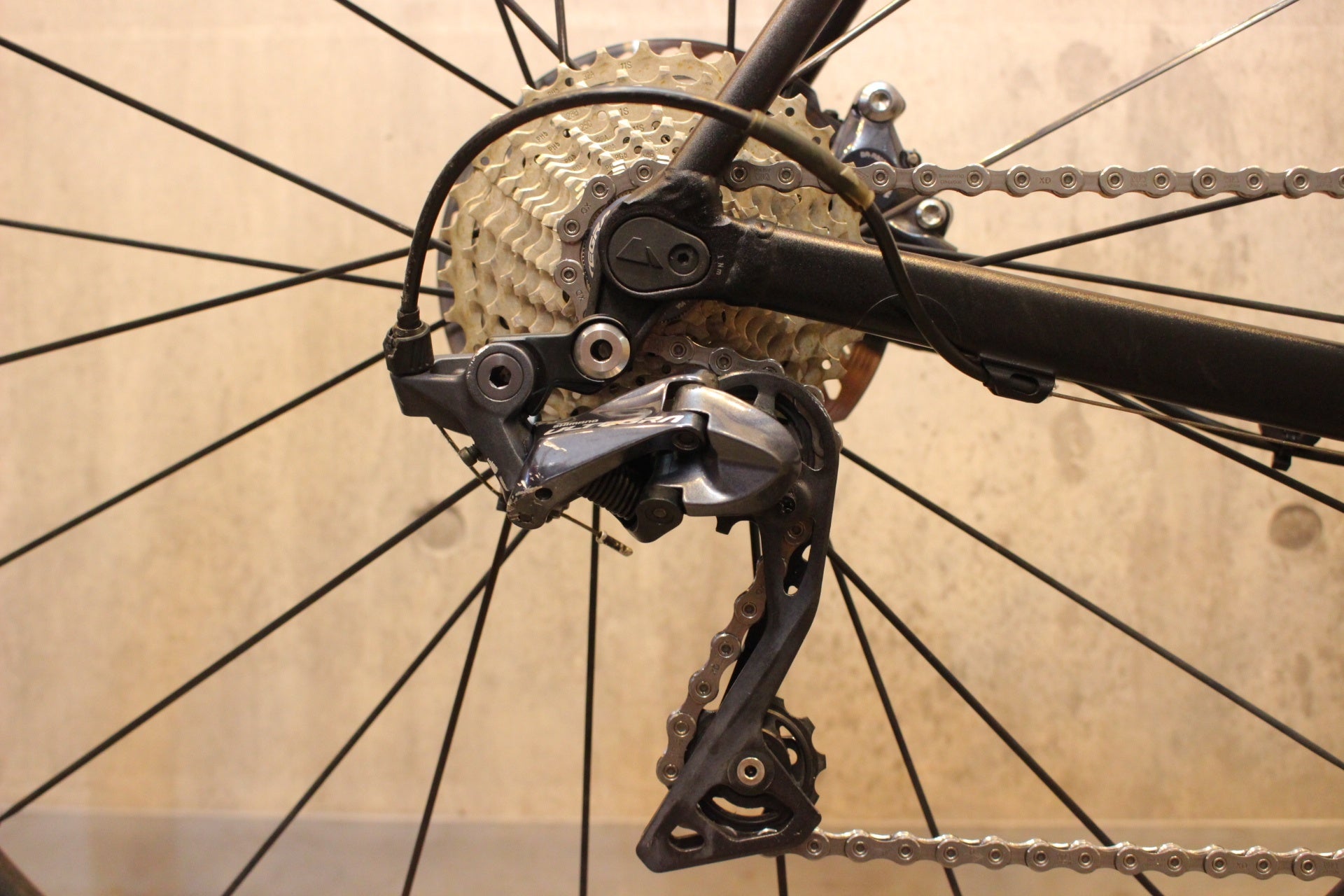 キャニオン CANYON エンデュレース ENDURACE AL DISC 8.0 2019 Lサイズ