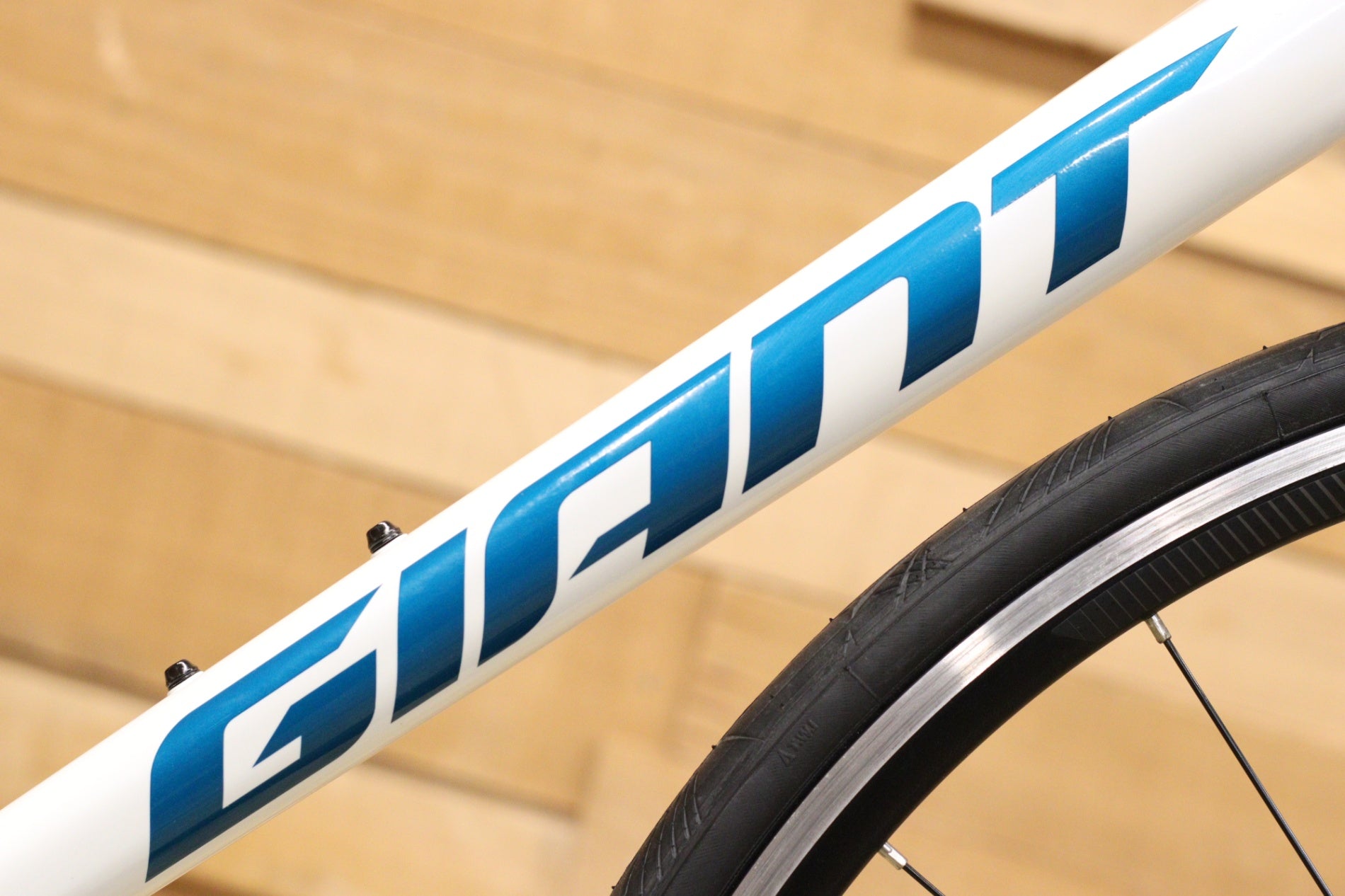 ジャイアント GIANT コンテンド CONTEND 1 2021 Mサイズ シマノ ソラ