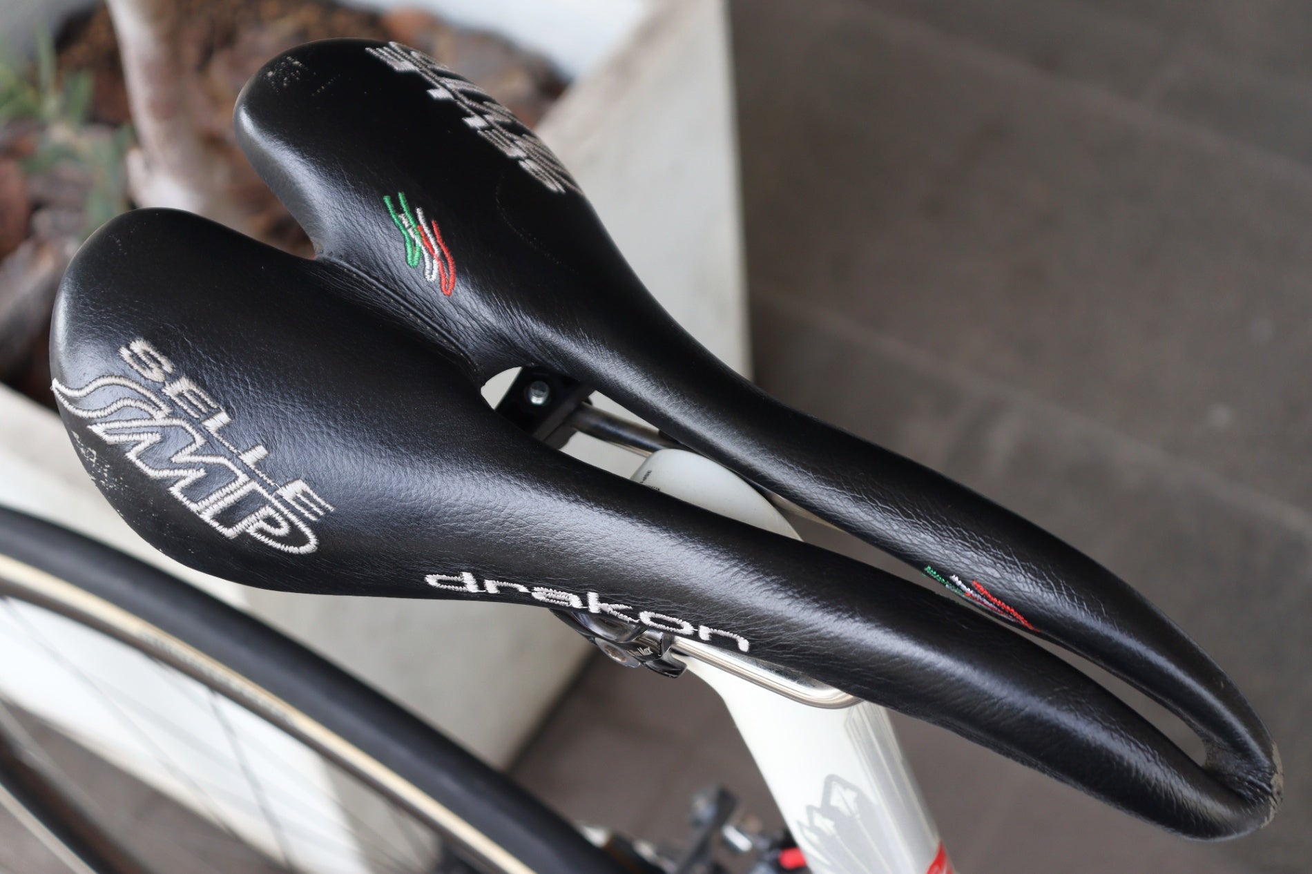 トレック TREK ドマーネ DOMANE 6 P1 SPARTACUS 2013モデル 54サイズ