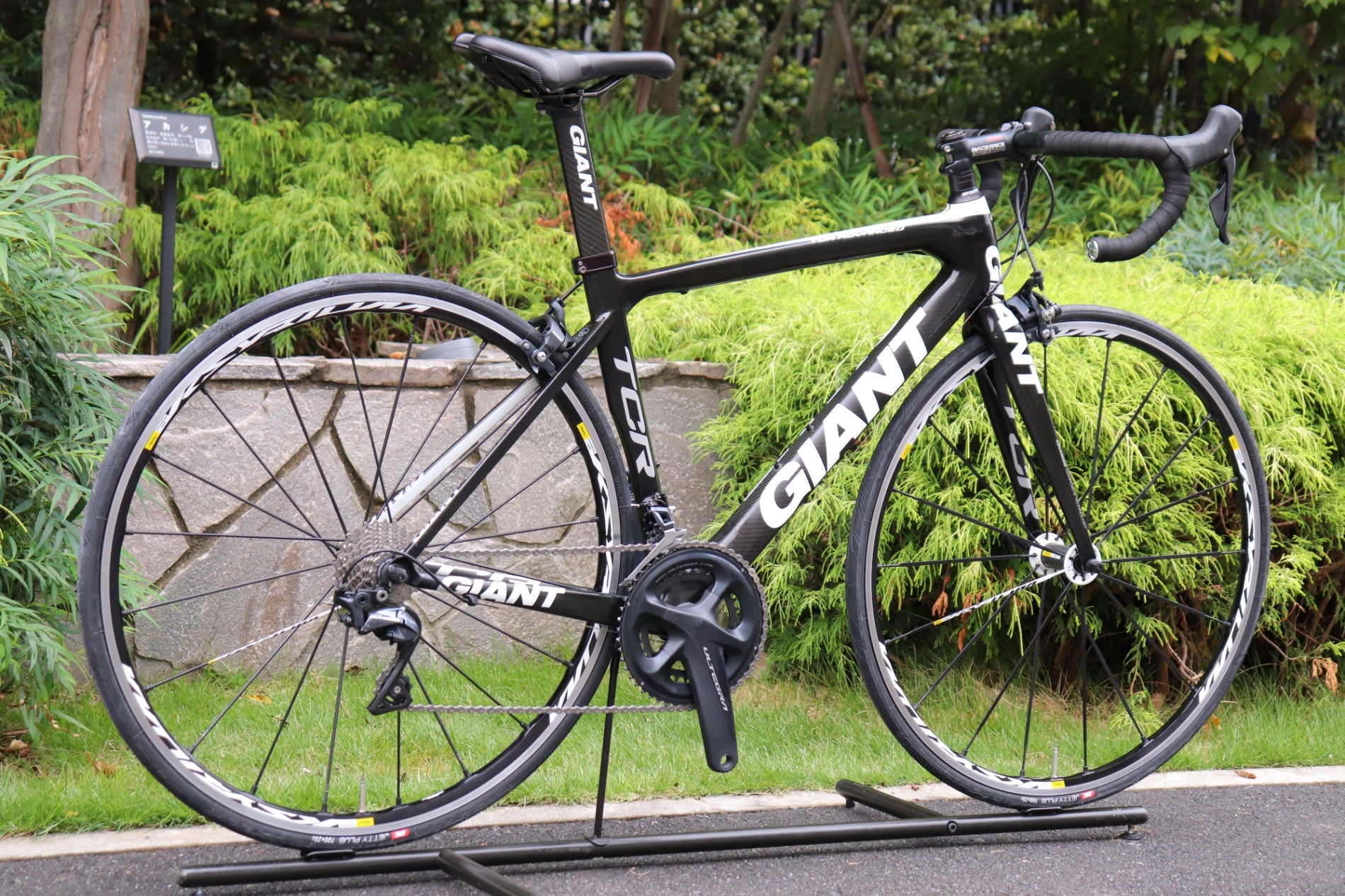 ジャイアント GIANT TCR ADVANCED3 2009年 Sサイズ シマノ アルテグラ