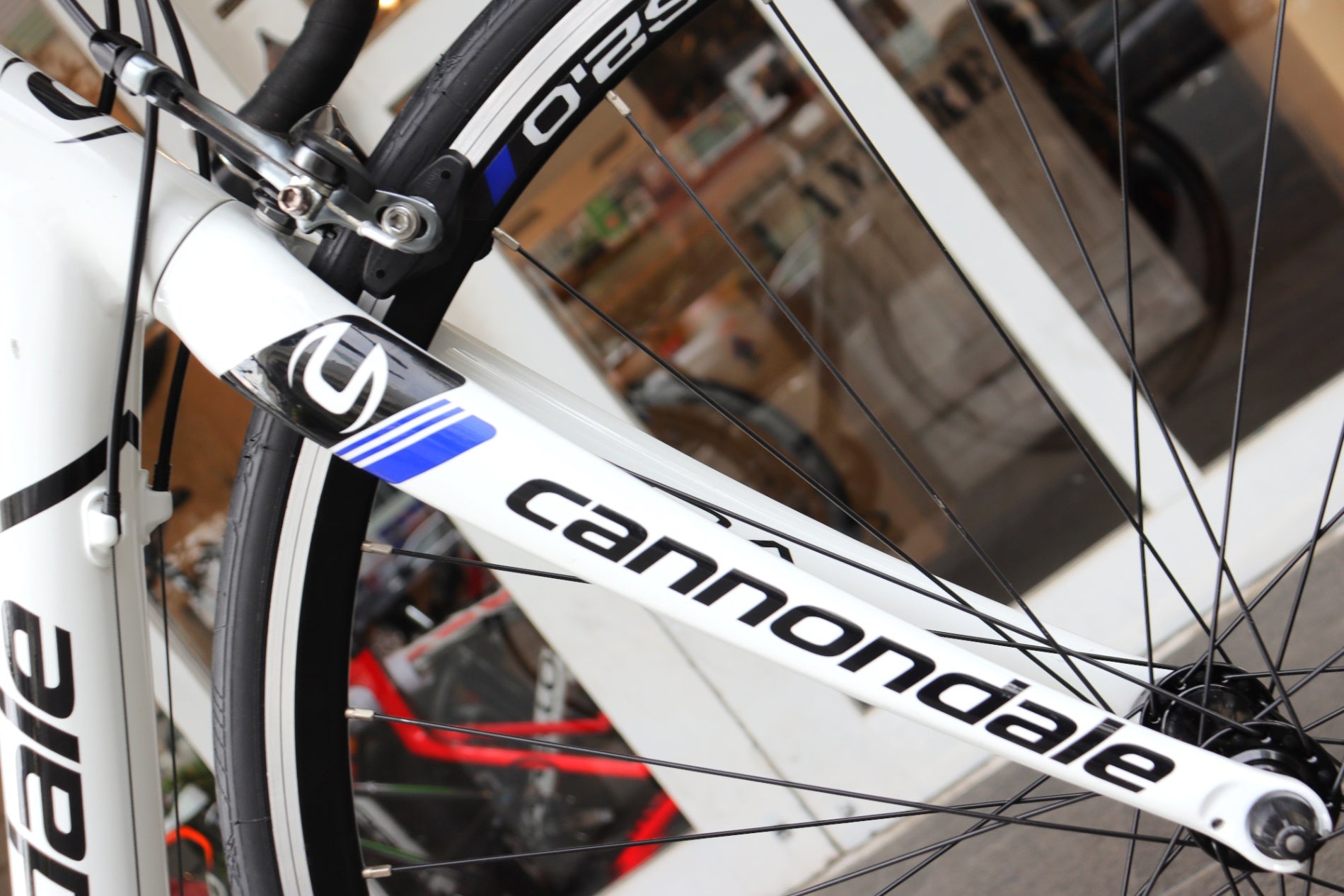 キャノンデール CANNONDALE キャド CAAD8 2016モデル 48サイズ シマノ