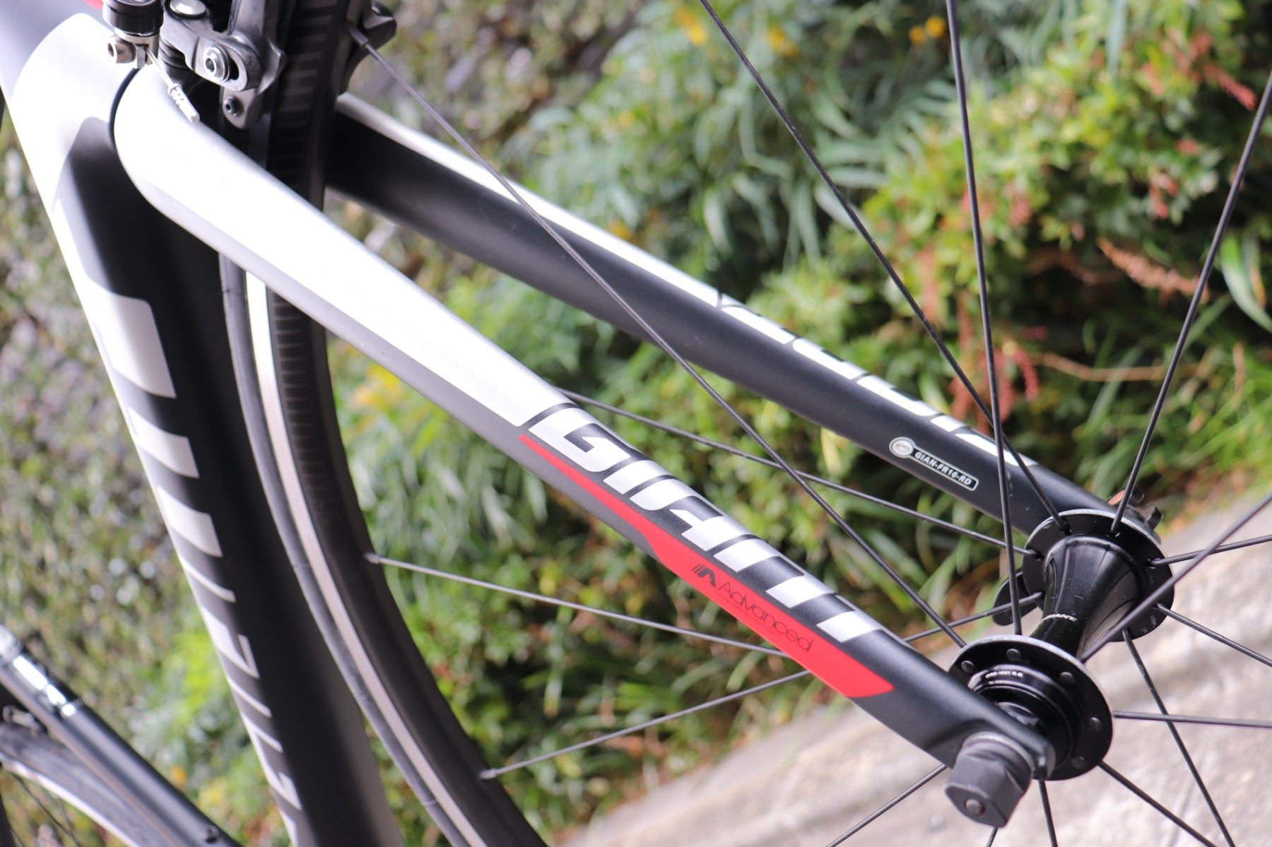 ジャイアント GIANT TCR ADVANCED 2 2019 Mサイズ シマノ 105 R7000