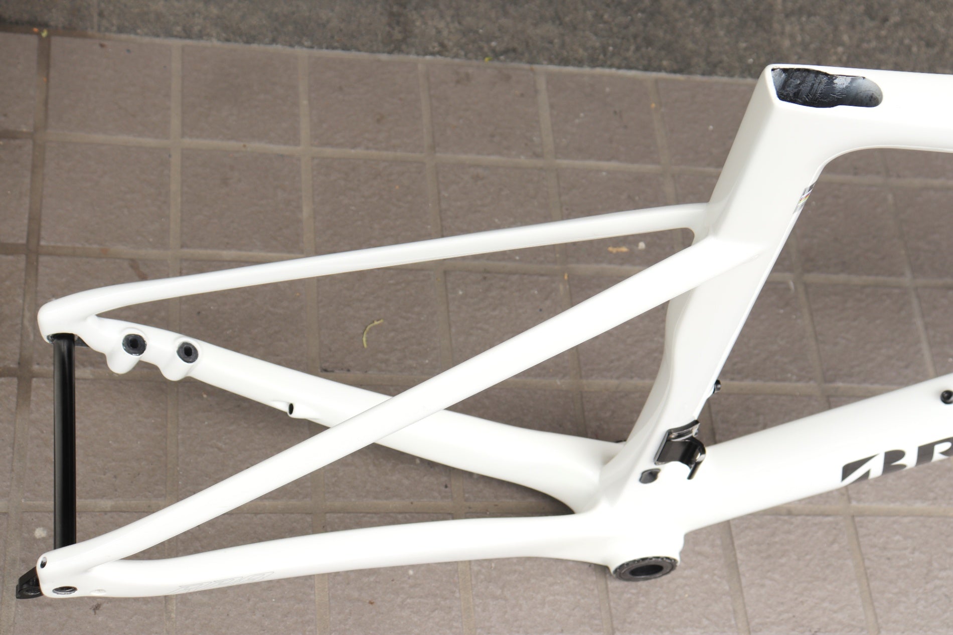 ブリヂストン アンカー BRIDGESTONE ANCHOR RP8 2023モデル 490サイズ