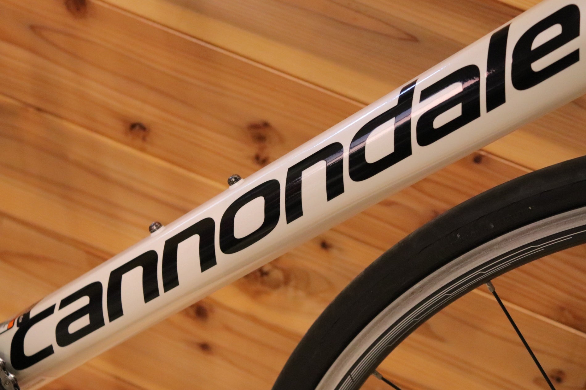 キャノンデール CANNONDALE キャド CAAD12 2019モデル 48サイズ シマノ
