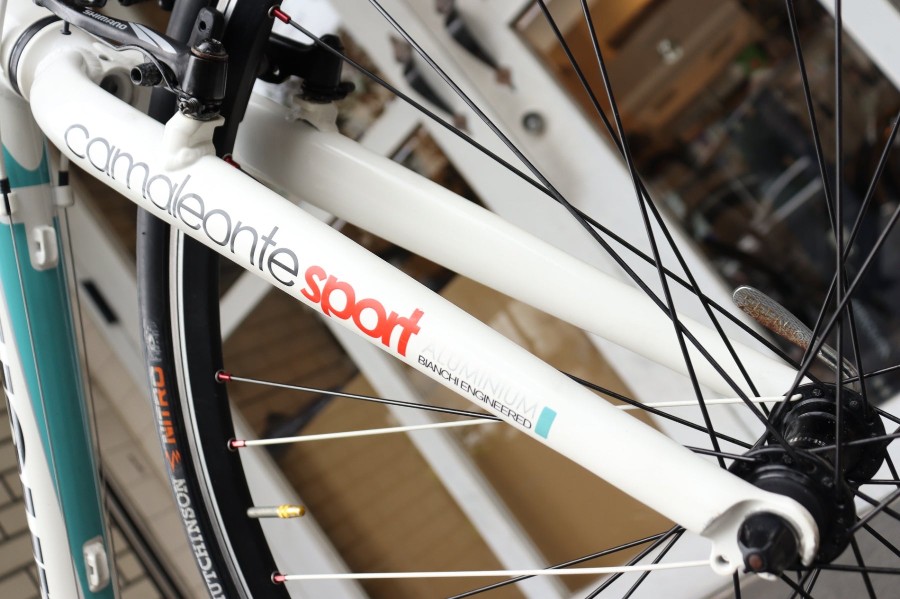 ビアンキ BIANCHI カメレオンテ CAMALEONTE 3 2011モデル 53サイズ