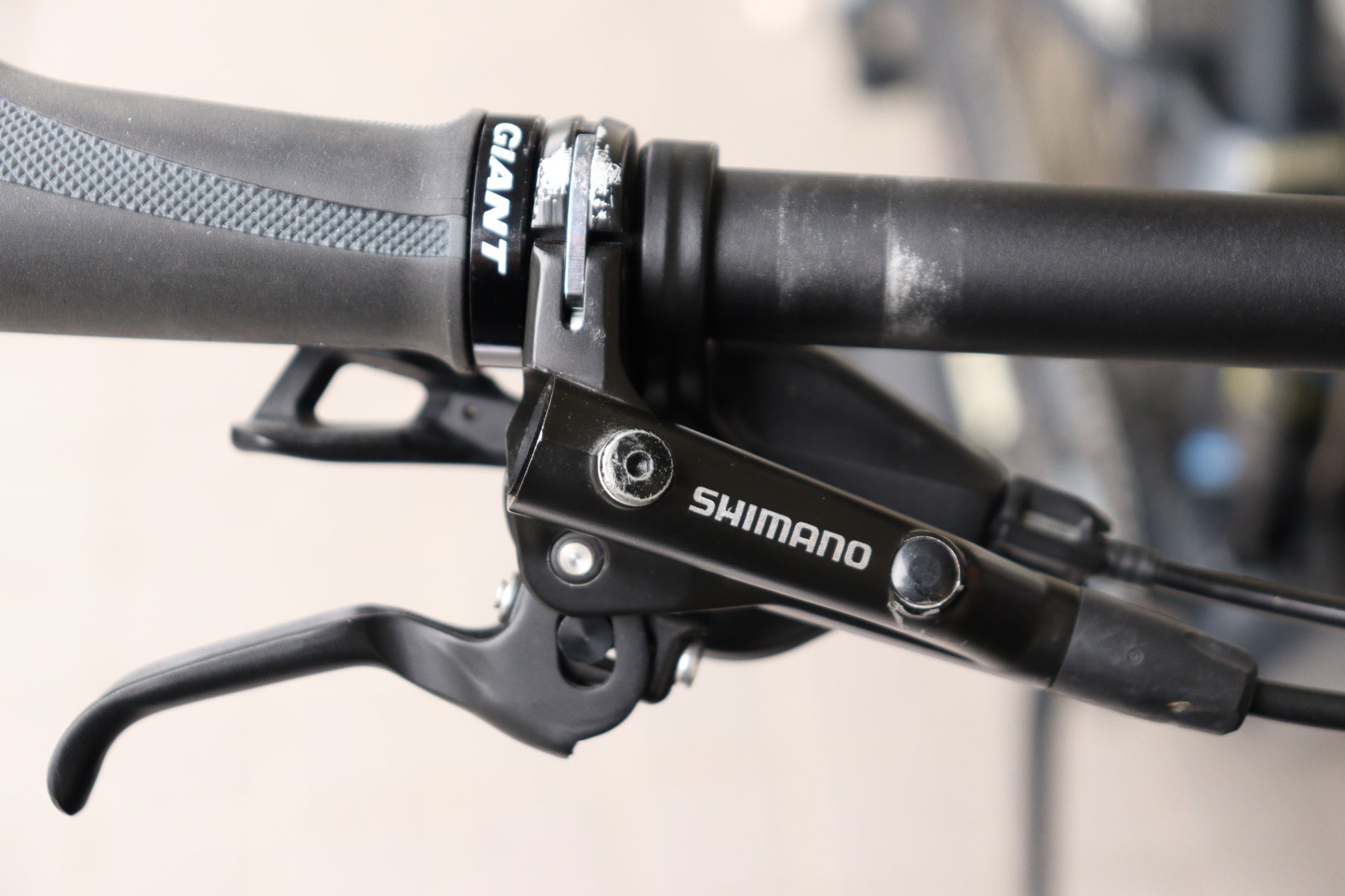 ジャイアント GIANT アンセム ANTHEM 29ER 2 2020モデル Lサイズ