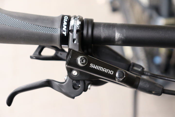 ジャイアント GIANT アンセム ANTHEM 29ER 2 2020モデル Lサイズ シマノ SLX M7100 12S アルミ マウンテンバイク 【横浜店】