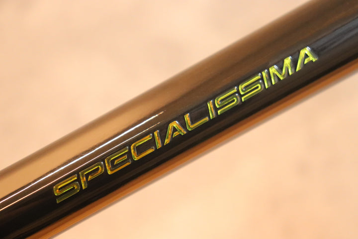 ビアンキ BIANCHI スペシャリッシマ SPECIALISSIMA DISC 2022モデル 53サイズ カーボン ロードバイク フレームセット 【さいたま浦和店】