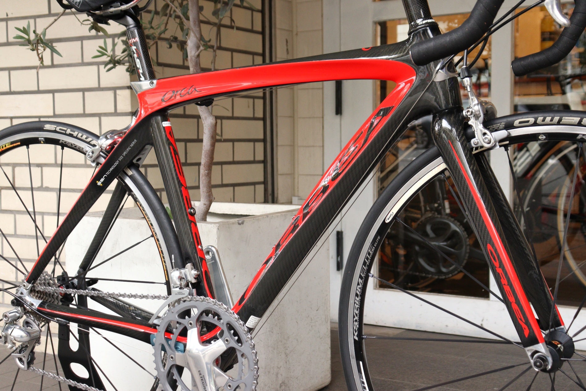 オルベア ORBEA オルカ ORCA 2008モデル 51サイズ シマノ オルベア ORBEA オルカ ORCA 2008モデル 51サイズ シマノ
