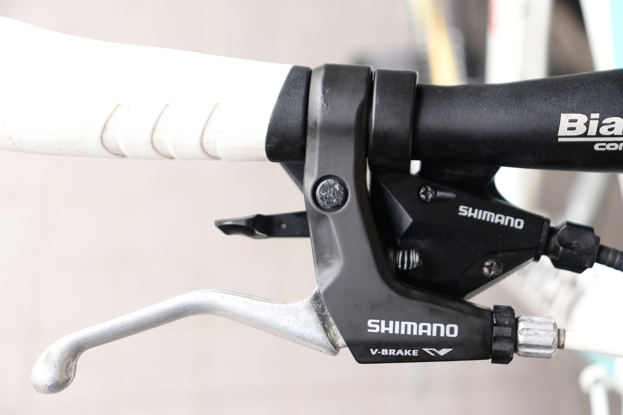 ビアンキ BIANCHI カメレオンテ CAMALEONTE 3 2011モデル 53サイズ