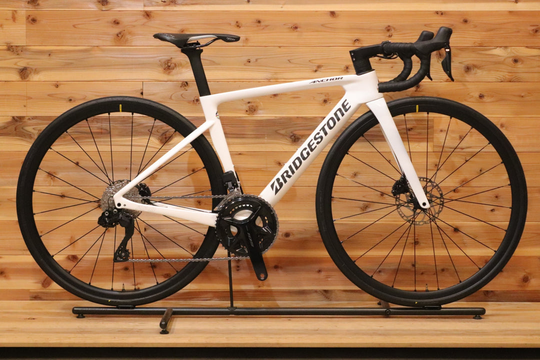 ブリヂストン BRIDGESTONE アンカー ANCHOR RP8 DISC 2024モデル 440 