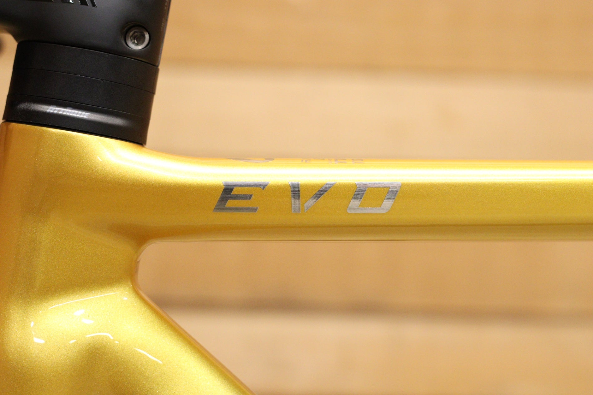 グスト GUSTO レンジャーエボ RANGER EVO DISC チームリミテッド