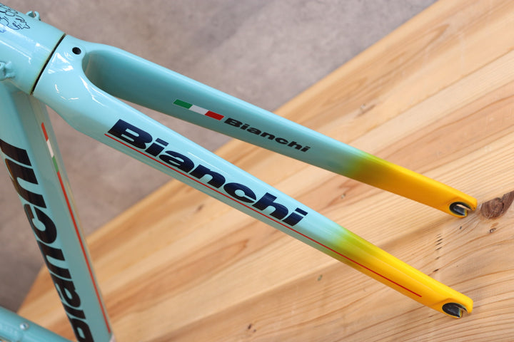 ビアンキ BIANCHI フェニーチェ プロ FENICE PRO 2018年 50サイズ アルミ スカンジウム フレームセット 【さいたま浦和店】