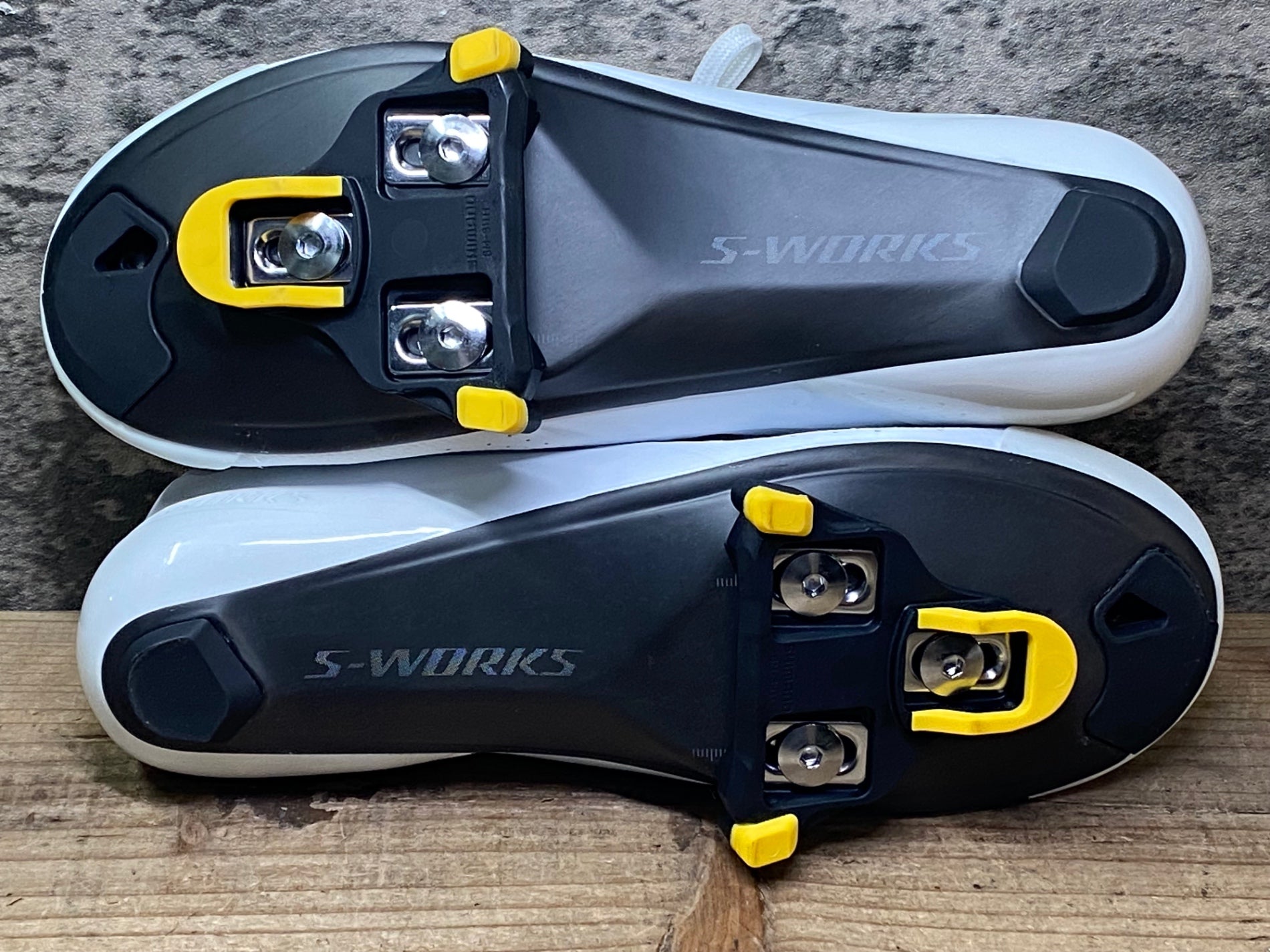 ベトナム産　ヒョウタンゴミムシセット　38-44mm オオヒョウタンゴミムシ｜Hinata