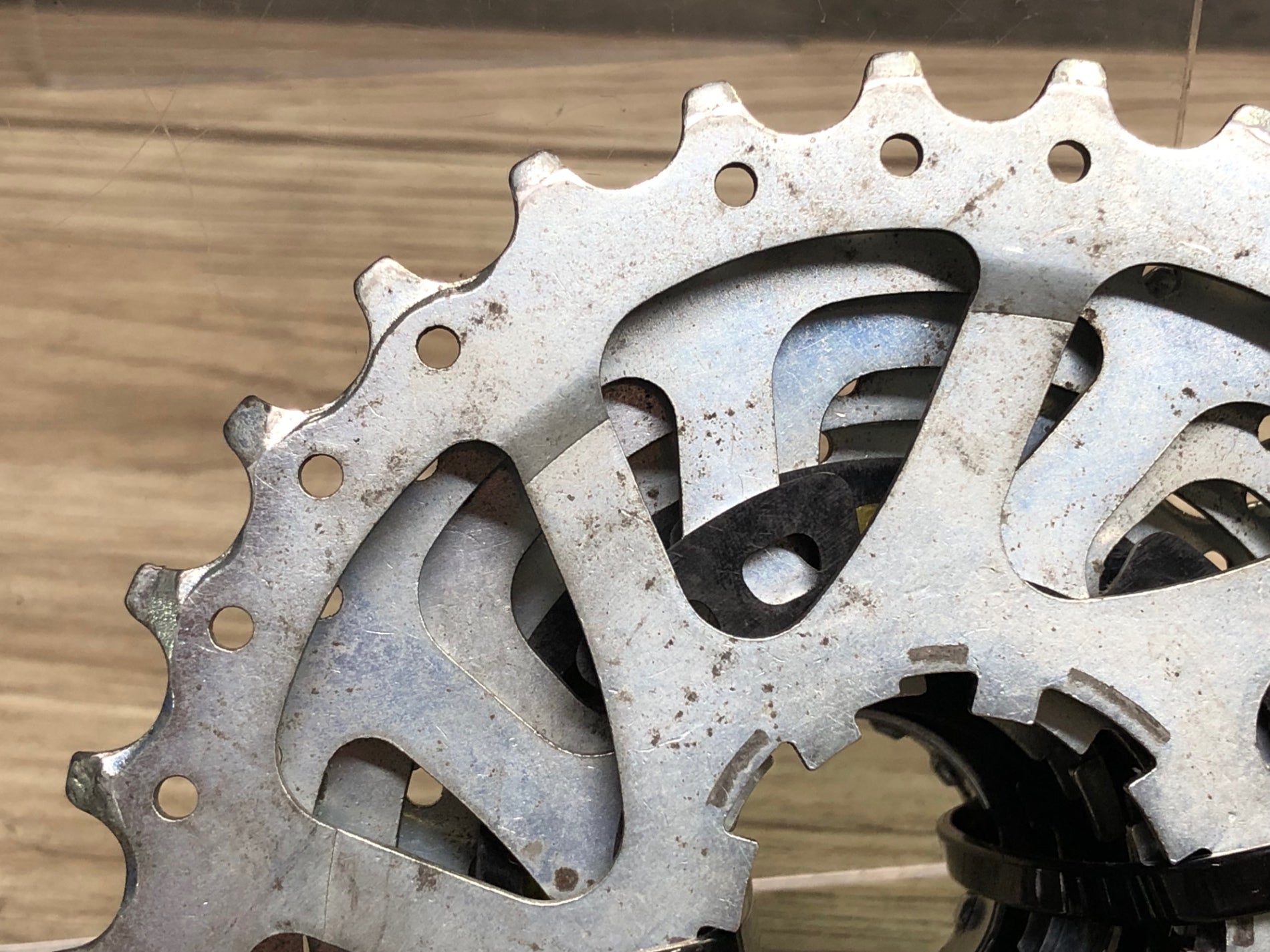 JH446 カンパニョーロ CAMPAGNOLO ケンタウル CENTAUR スプロケット 13