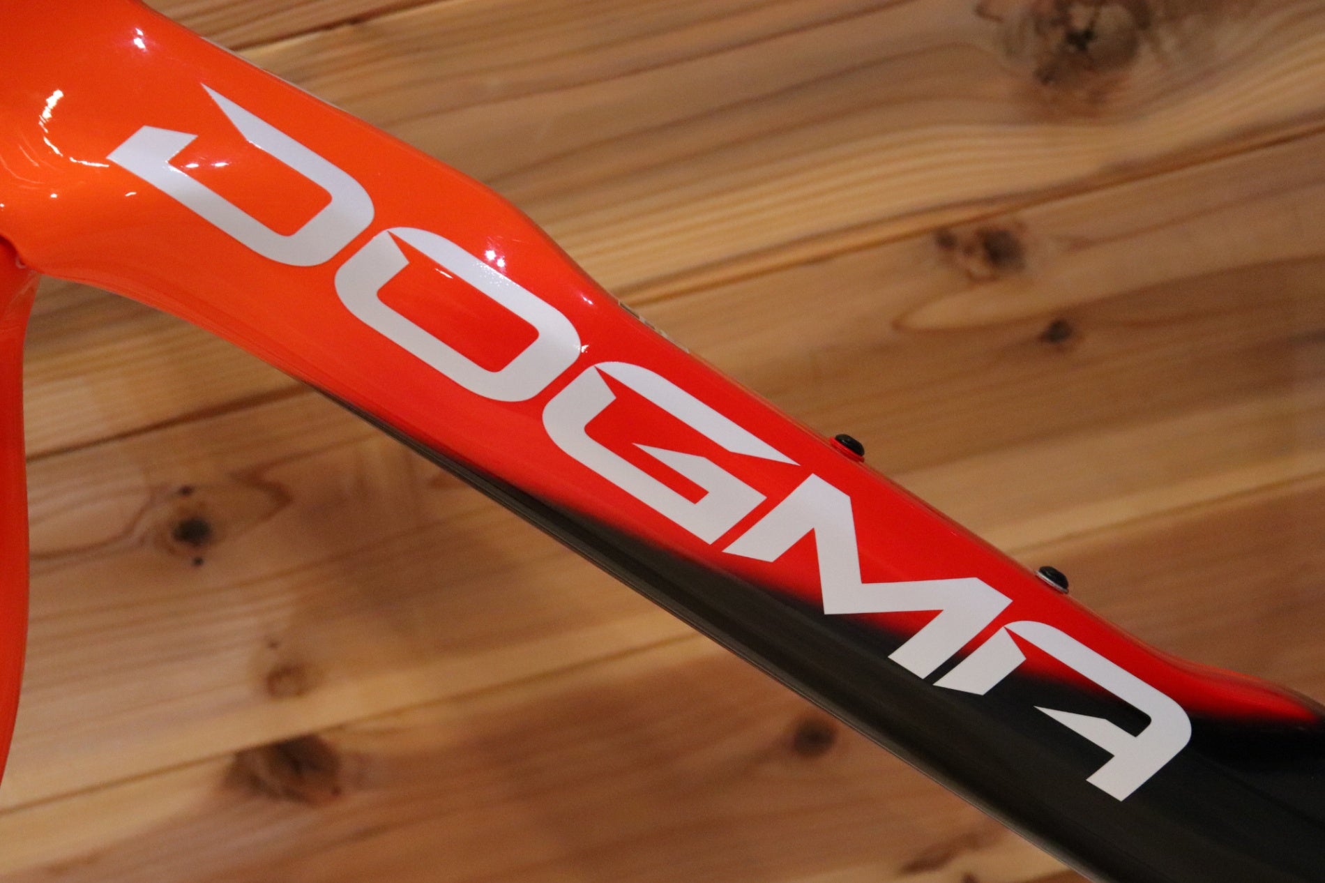 ピナレロ PINARELLO ドグマ DOGMA F DISK 2025モデル 465サイズ TALON