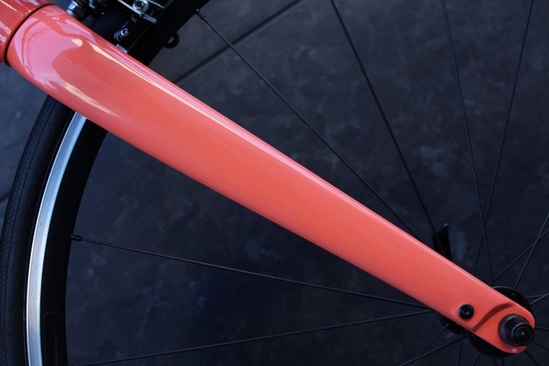 Specialized Allez ロードバイクフレーム 好きな仕様で組めるのがフレームセット！ALLEZ SPRINT DISC