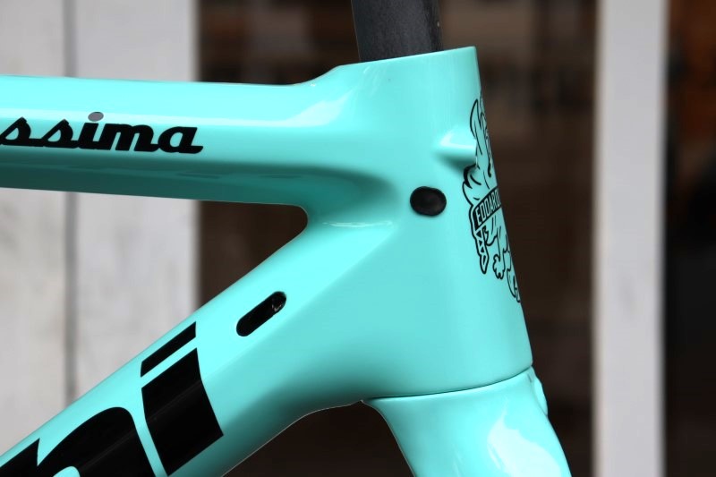 ビアンキ Bianchi スペシャリッシマ SPECIALISSIMA 2020モデル 47サイズ カーボン ロードバイク フレームセット 【横浜店】